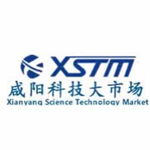 咸阳科技大市场